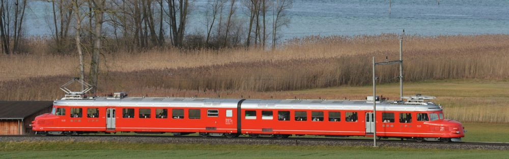 Treinen aan de Bodensee